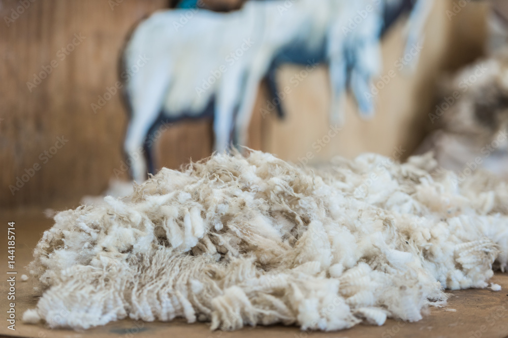 close up view of wool sheepskin close up view of wool sheepskin