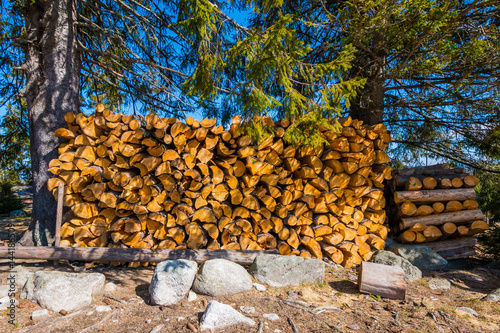 Firewood texture, heap of wood. 