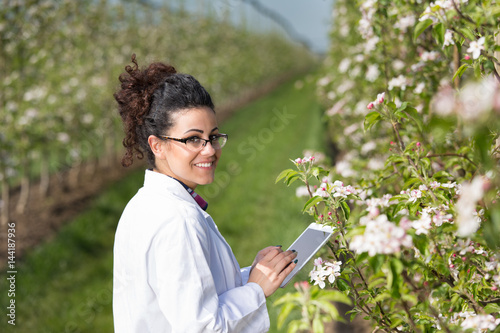 Biologist in blossoming orchard