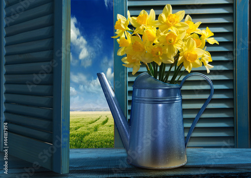 Fototapeta Naklejka Na Ścianę i Meble -   Watering can with daffodils