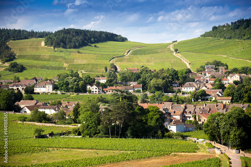Mercurey et son vignoble de bourgogne
