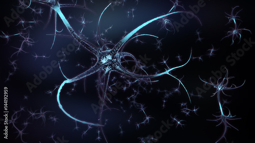 Neural network brain cells  photo