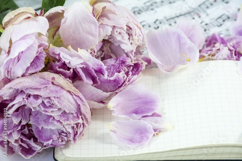 Fototapeta Naklejka Na Ścianę i Meble -  Opened notebook with pink withered peonies on the musical notes