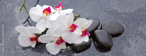 Spa stones and white orchid on grey background.