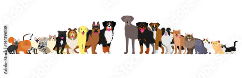 Border of dogs and cats arranged in order of height