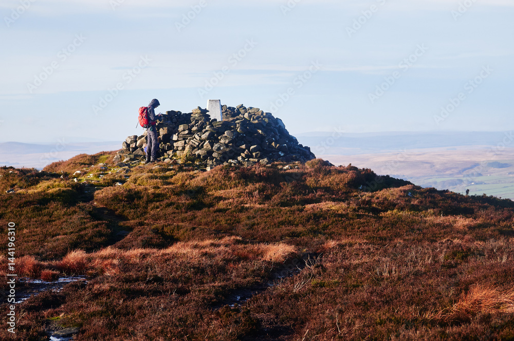 A hiker and their dog walking in the Northumberland countryside, Simonside near Rothbury, England, UK.