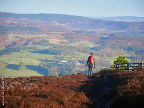 A hiker and their dog walking in the Northumberland countryside, Simonside near Rothbury, England, UK. photo