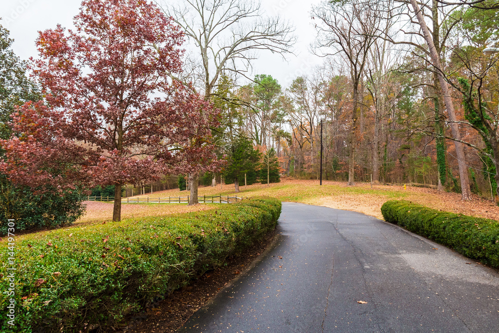 Asphalt road in autumn Lullwater Park, Atlanta, USA.