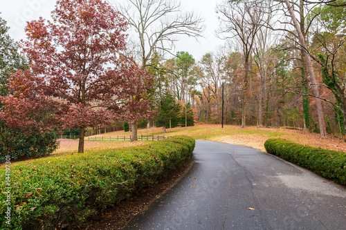 Asphalt road in autumn Lullwater Park, Atlanta, USA.
