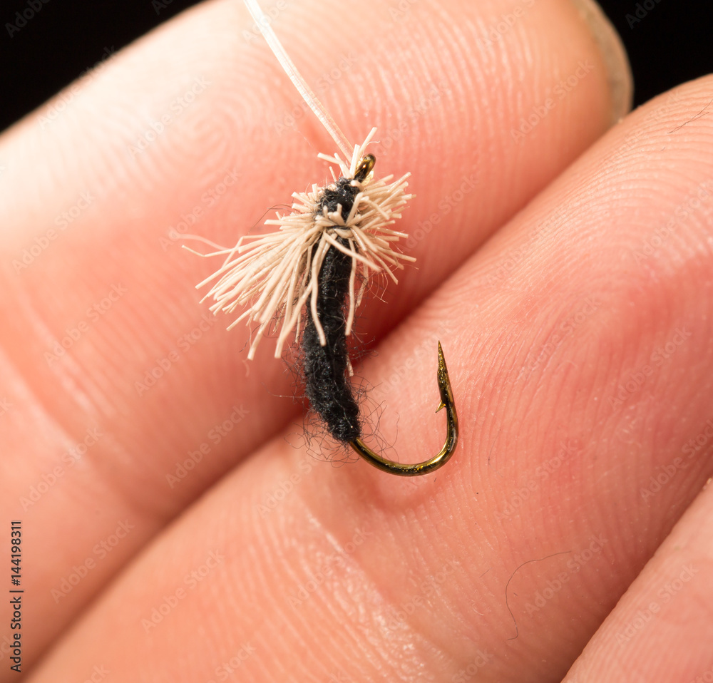 Obraz premium fly to catch fish in a hand on a black background