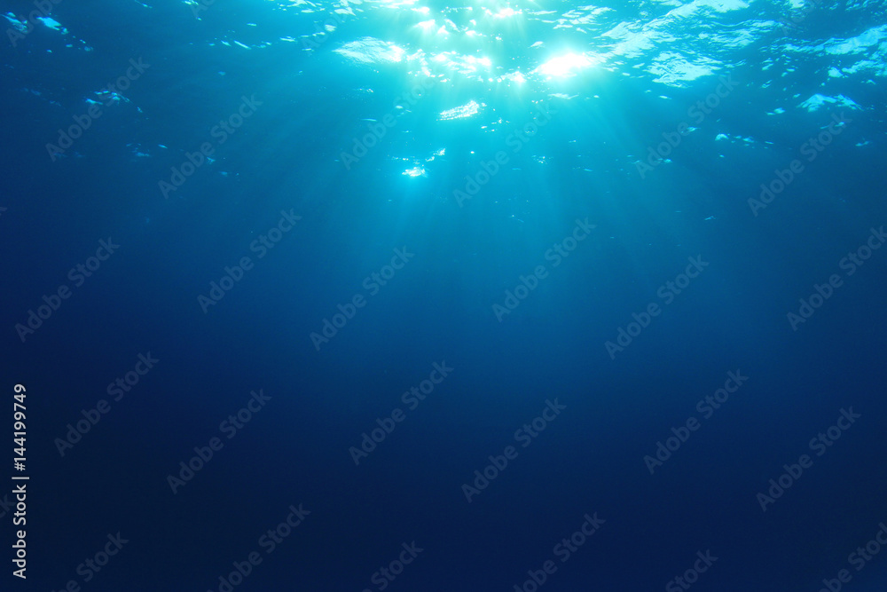 Fototapeta premium Underwater blue ocean background with sunlight