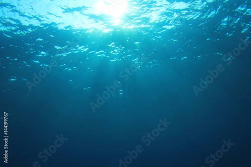 Fototapeta Naklejka Na Ścianę i Meble -  Underwater blue ocean background with sunlight 
