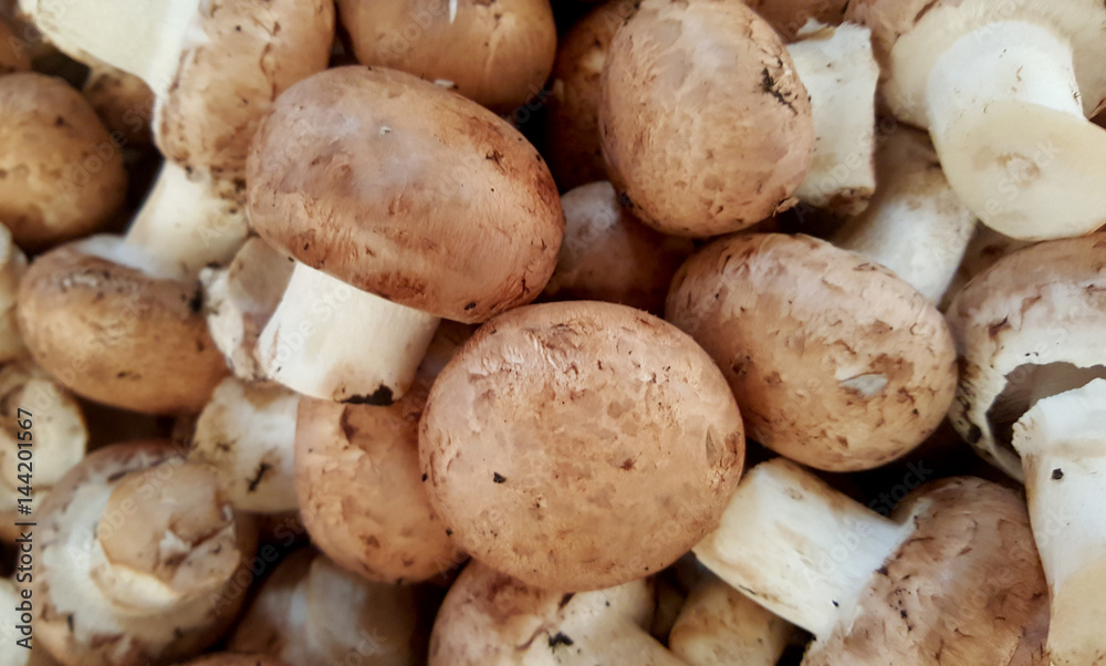 Mushrooms Mushrooms