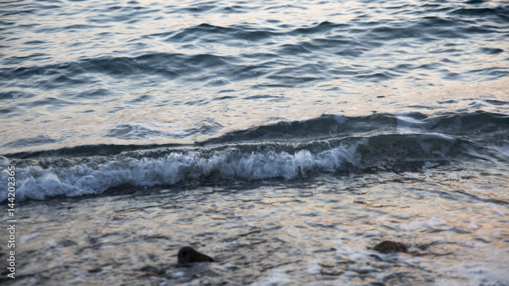 Sea Sea