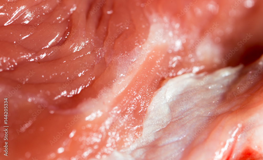 fresh meat as a background. macro fresh meat as a background. macro