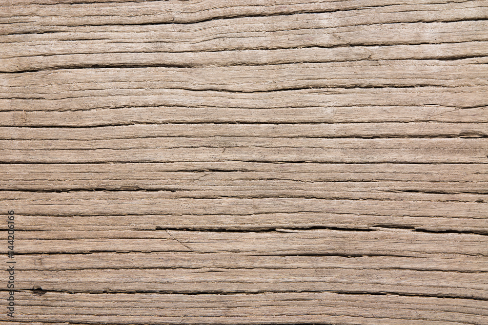 Old elm wood texture background Old elm wood texture background