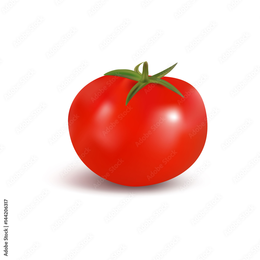 Big ripe fresh tomato isolated on a white background in realistic style. Vector illustration. Big ripe fresh tomato isolated on a white background in realistic style. Vector illustration.