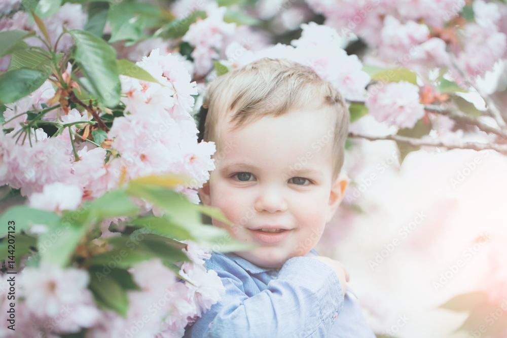 Cute baby boy among pink blossoming flowers Cute baby boy among pink blossoming flowers