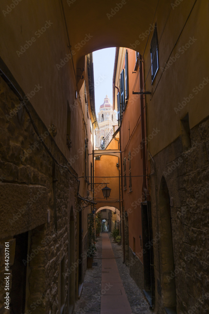 Typical narrow street, named carrugio, in a village of Liguria (Cervo), Italy.