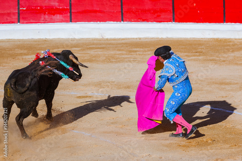 MOITA LISBON, PORTUGAL - SEPTEMBER 14: Matador and bull in tourada bullfight on September 14, 2016 in Moita Lisbon, Portugal