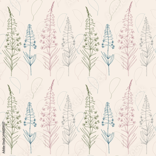 Vector floral seamless pattern with hand drawn fireweed plant flowers and lea...