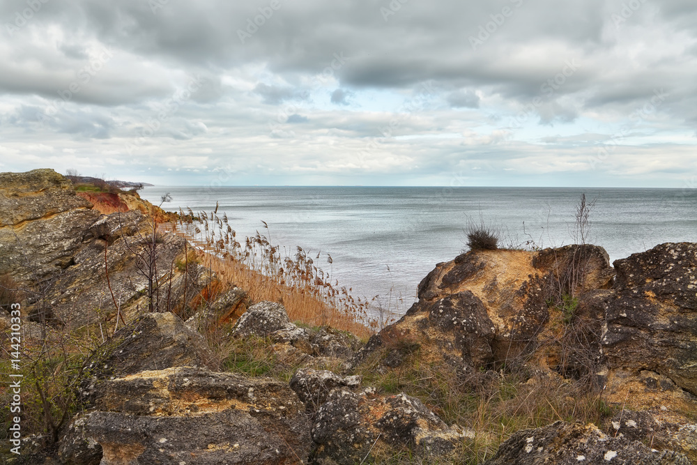 Wild coast of the sea, stones and dry reeds, the gray sea, a beautiful marine calm landscape. Vintage style.
