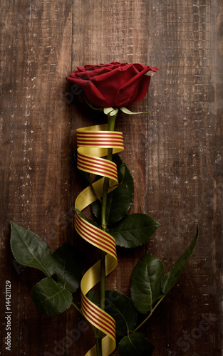 red rose and catalan flag photo