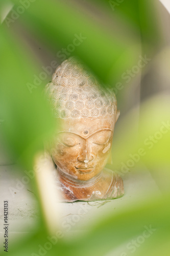 Buddha Statue in Green Tropical Leaves