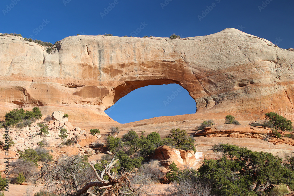 Utah's Wilson Arch