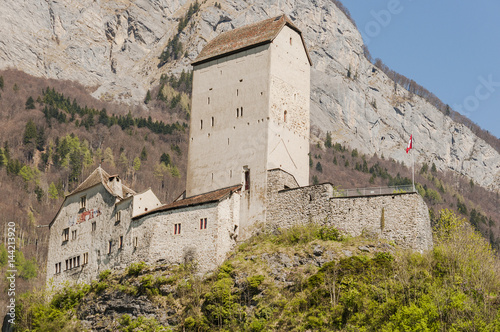 Sargans, Stadt, Schloss, Schloss Sargans, Sarganserland, Alpen, Schweizer Berge, St. Gallen, Frühling, Wanderweg, Schweiz