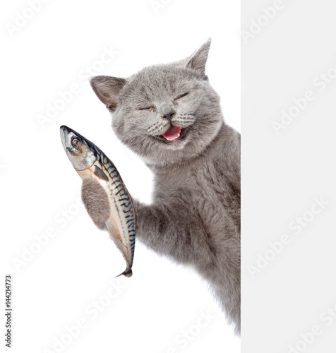 Happy cat holding a fish in its paw and peeking from behind empty board. isolated on white background