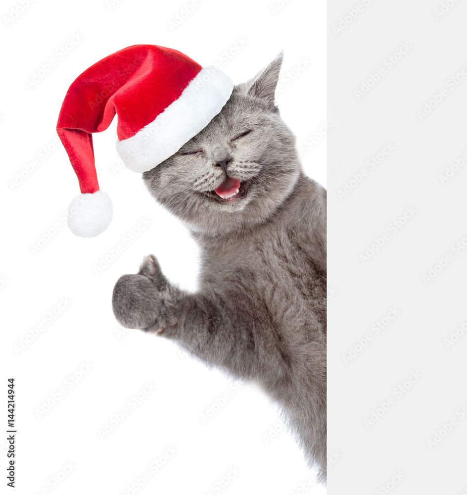 Fototapeta premium Happy cat in red christmas hat peeking from behind empty board and showing thumbs up. isolated on white background