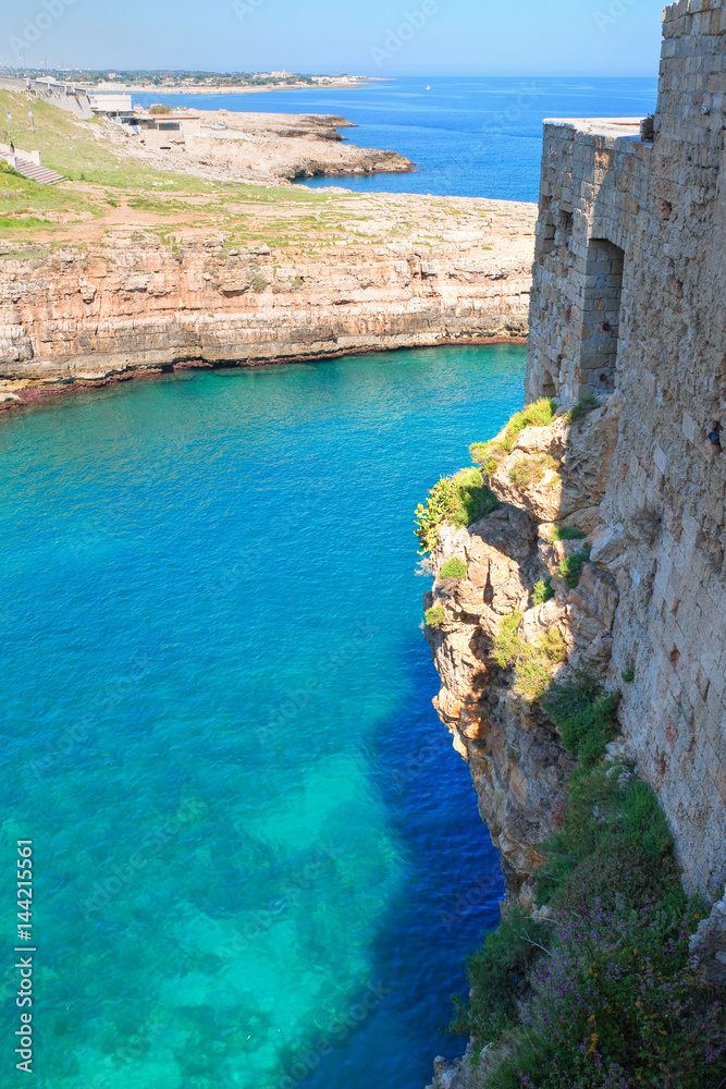 Fototapeta premium Panoramic view of Polignano. Puglia. Italy.