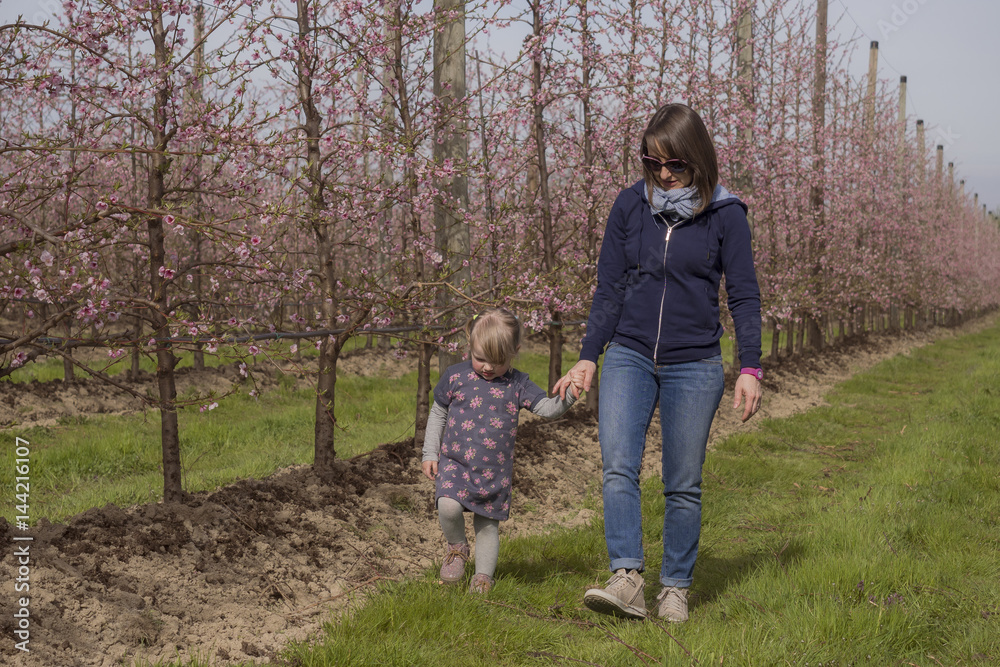 Mom and daughter walking through the orchards in bloom