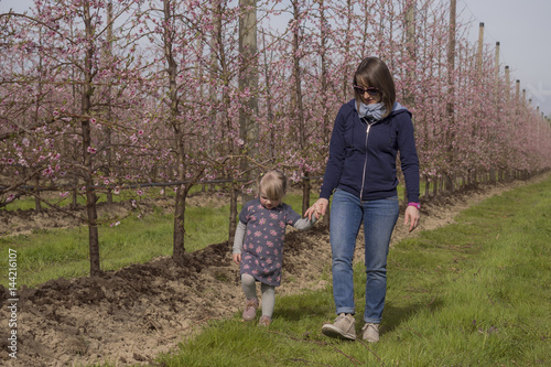 Mom and daughter walking through the orchards in bloom