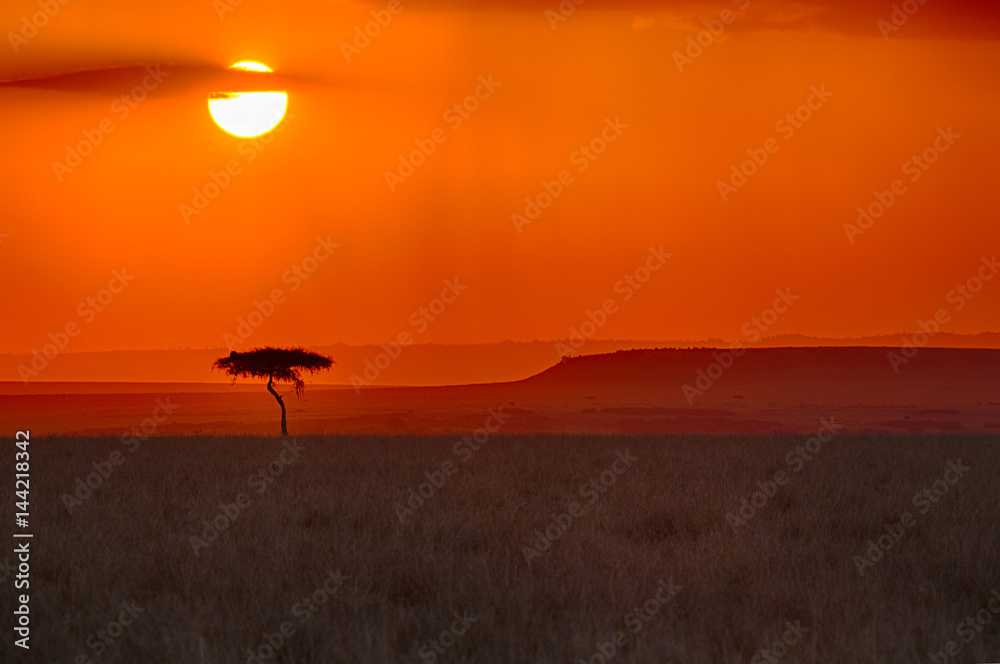 African Sunset with tree