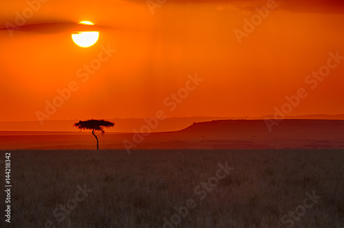 African Sunset with tree © jody