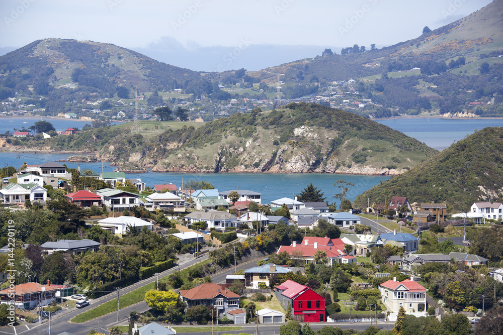 New Zealand's Little Town