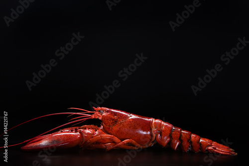 Tablou canvas lobster 1