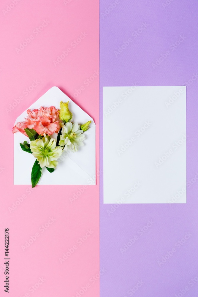 Colorful spring flowers in envelope and white sheet on pink and violet background. Colorful spring flowers in envelope and white sheet on pink and violet background.