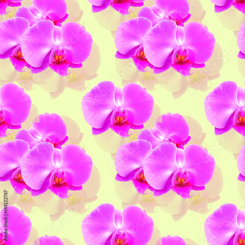 Orchid. Seamless pattern texture of flowers. Floral background  photo collage
