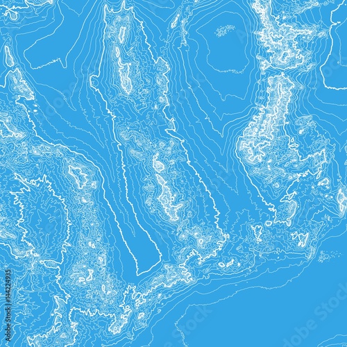 Vector abstract earth relief map. Generated conceptual elevation map. Isolines of landscape surface elevation. Geographic map conceptual design. Elegant background for presentations.