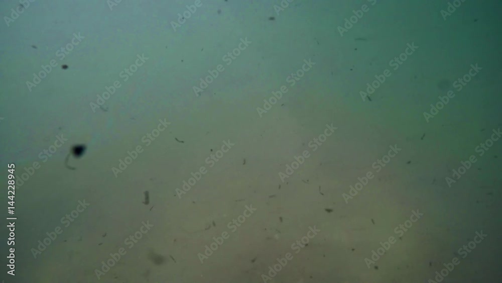 P.O.V. of underwater waves crashing on a beach, in slow motion 120fps P.O.V. of underwater waves crashing on a beach, in slow motion 120fps