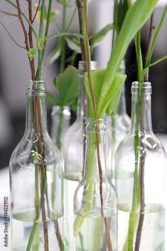 Designer composition of transparent white bottles and plants with long stems © Anna Jurkovska
