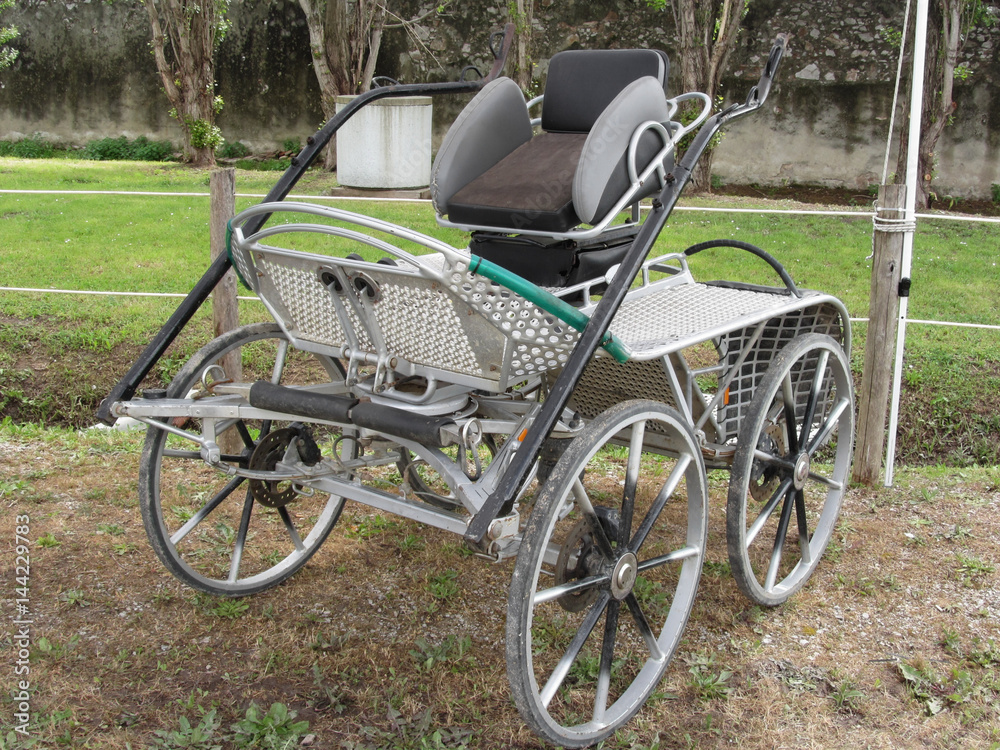 Old-fashioned horse carriage with green grass background