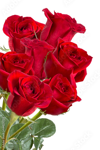Image with red roses.