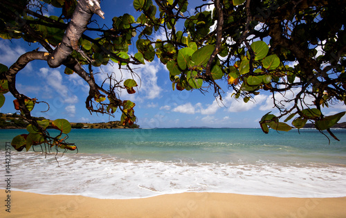 A Caribbean beach 