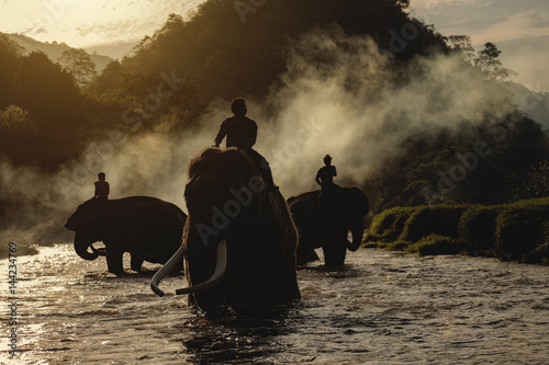 Canvas Print elephant bathing