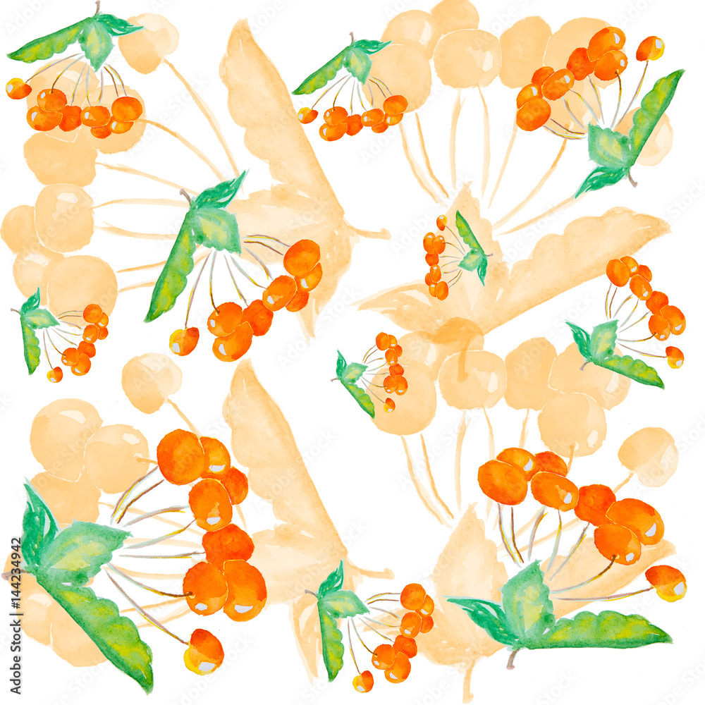 Fototapeta premium Sea-buckthorn watercolor drawing