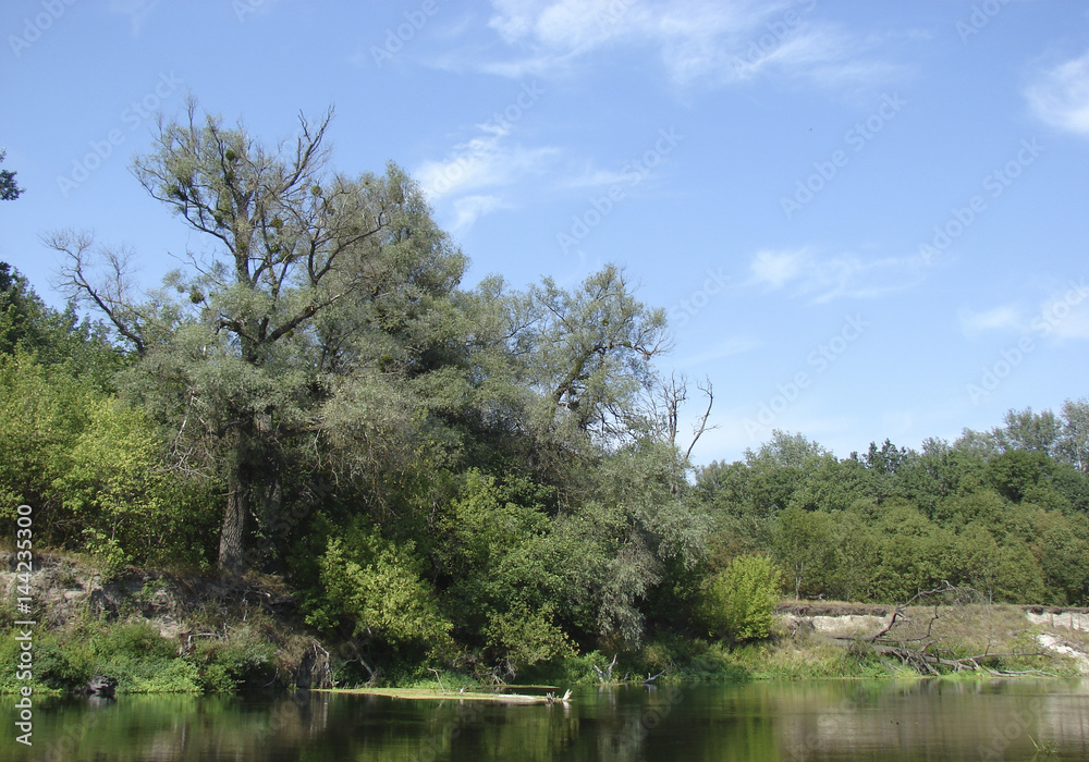 Bulgakov. The Master and Margarita. Margo flies to the ball of Satan